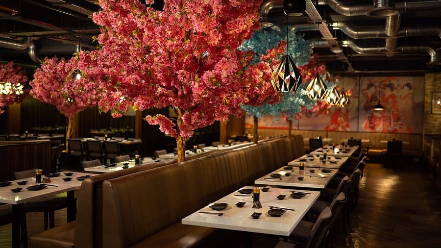 Jarige eet gratis bij Blue Sakura